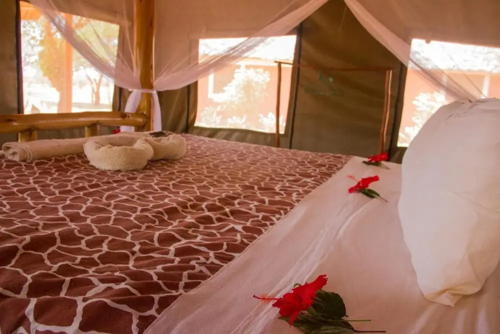 Lake Jipe Safari Camp