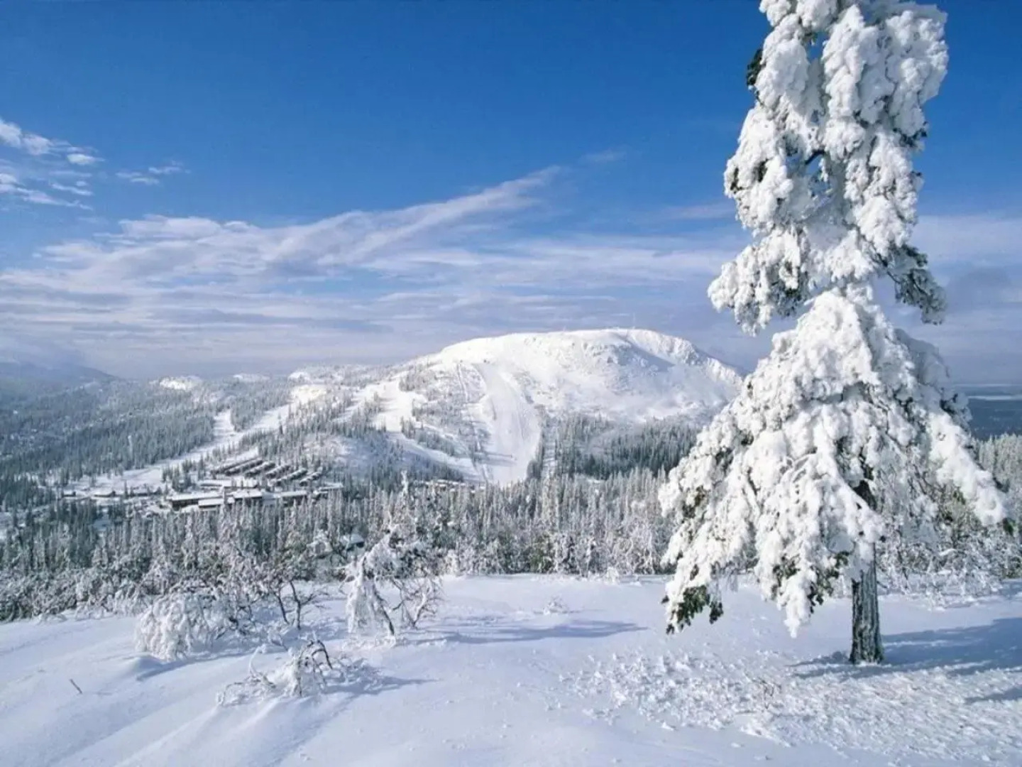 Vemdalsskalet Högfjälls Apartments