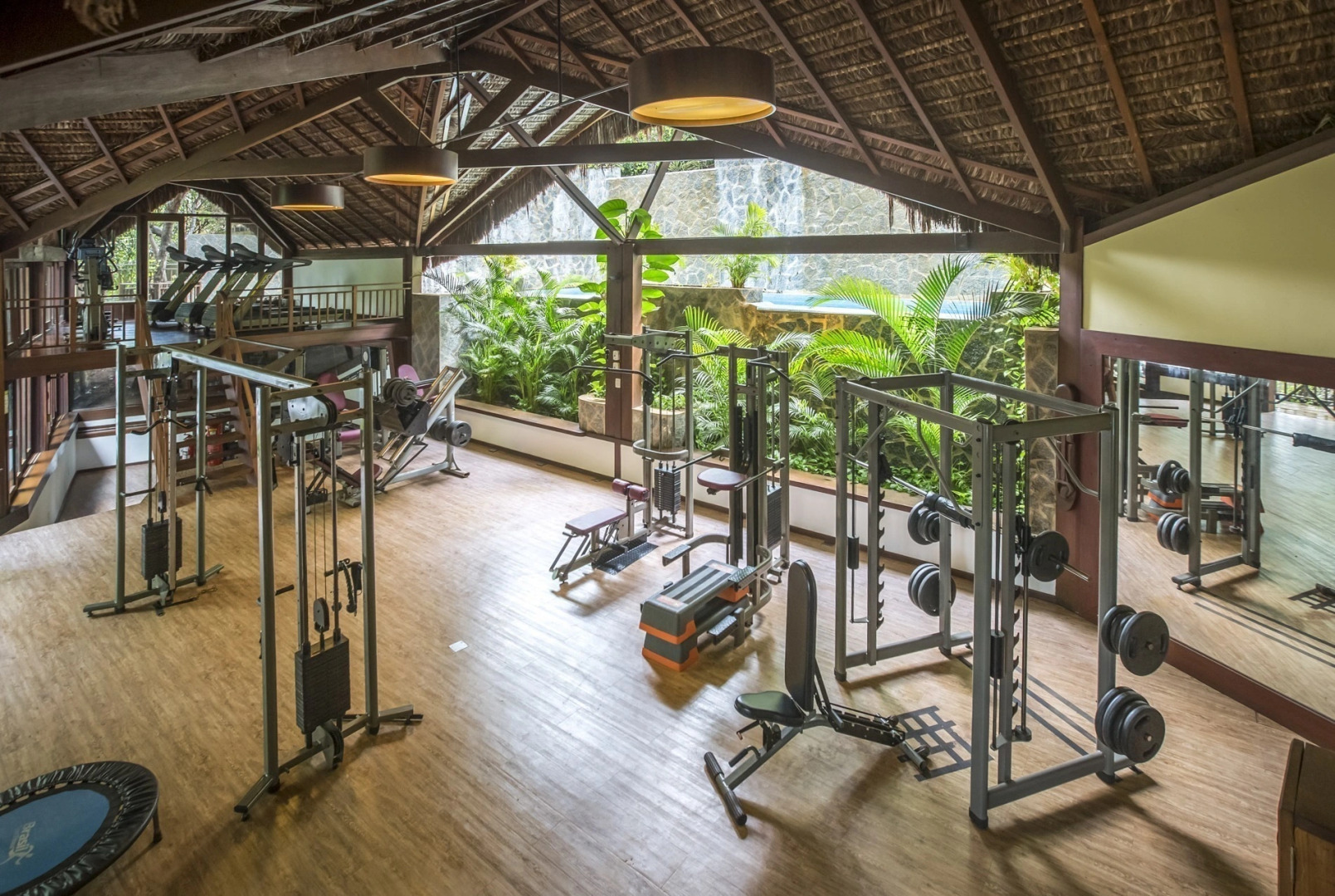 Sombra e Agua Fresca Floresta