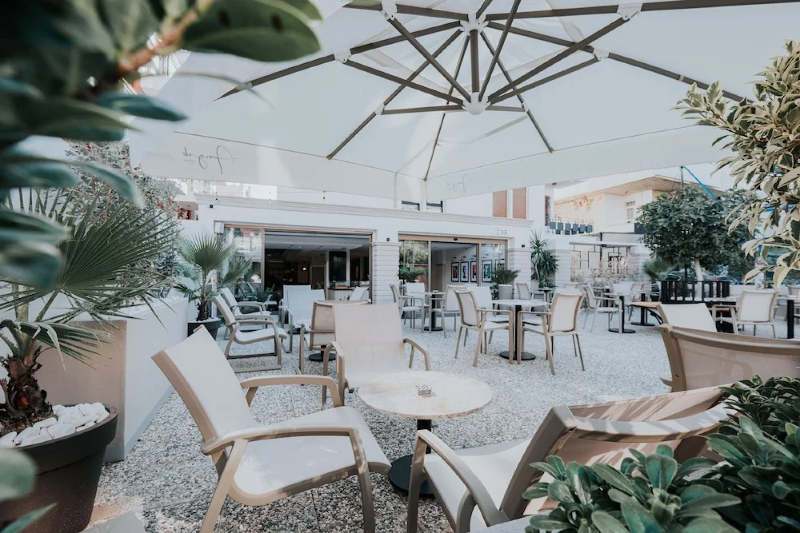 Angelo Coffee Suites