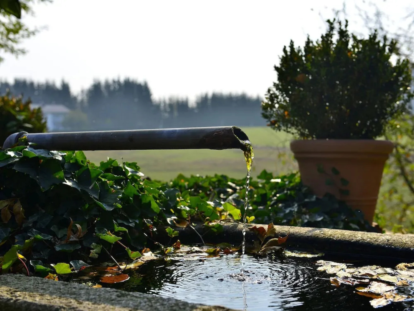 Alluring Apartment in Altreichenau with Garden