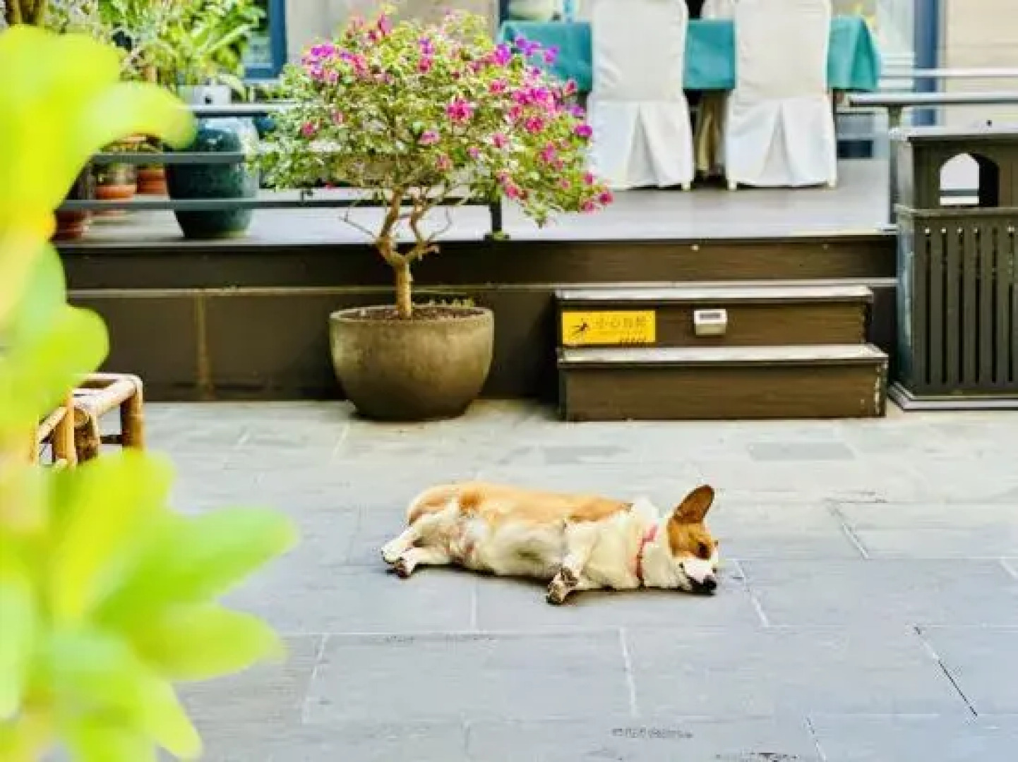 Wuzhishan Yisuli Theme Hotel