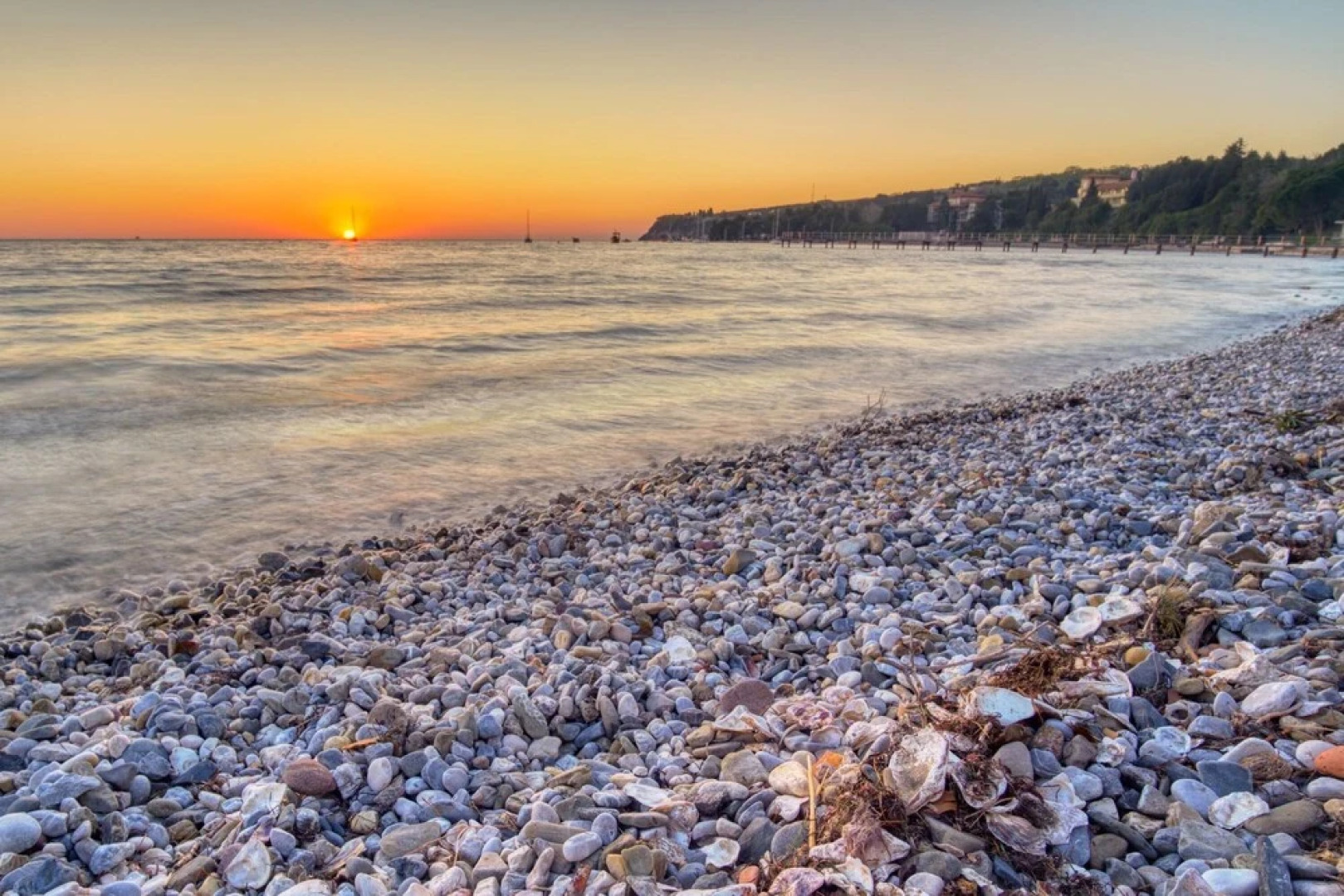 Pool Studio Debeli Rtic 2