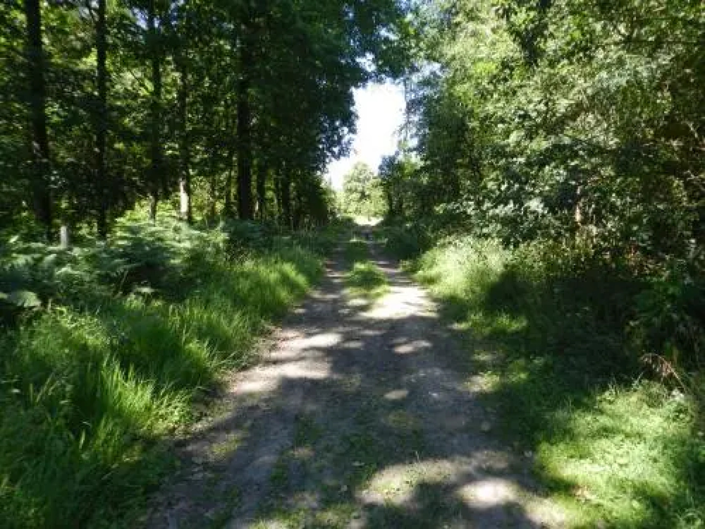 B&B Le Bois de Champia