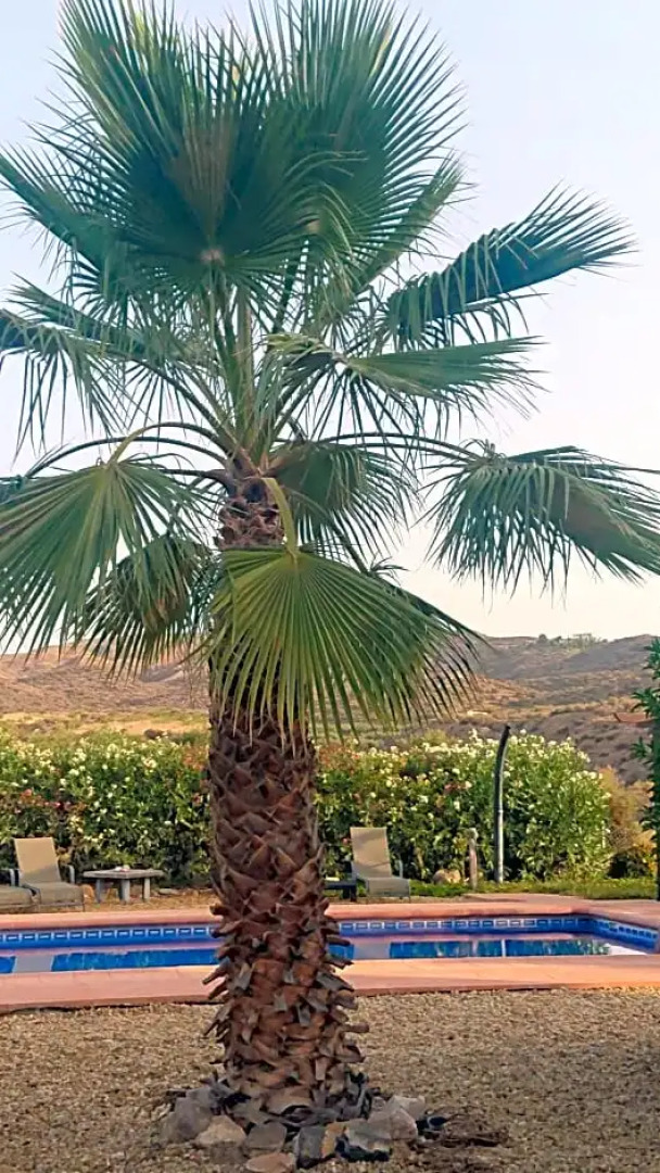 Casa Rural Mas Solana