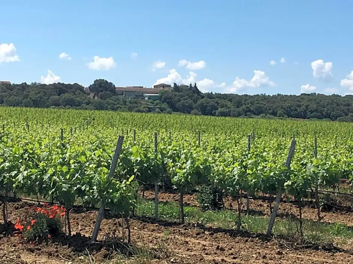 Suite Saint Esteve avec balneo au cœur d'un hameau
