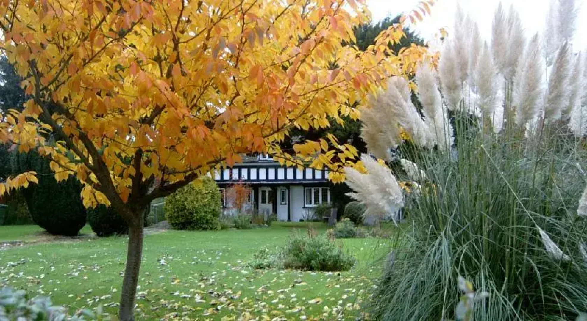 The Harbour Guest House