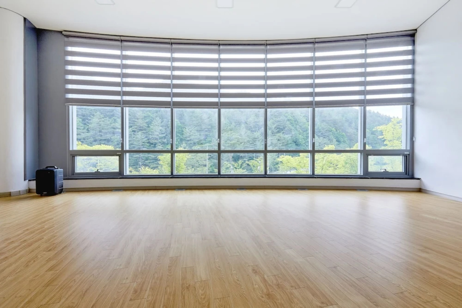 Geumgangsong Ecorium