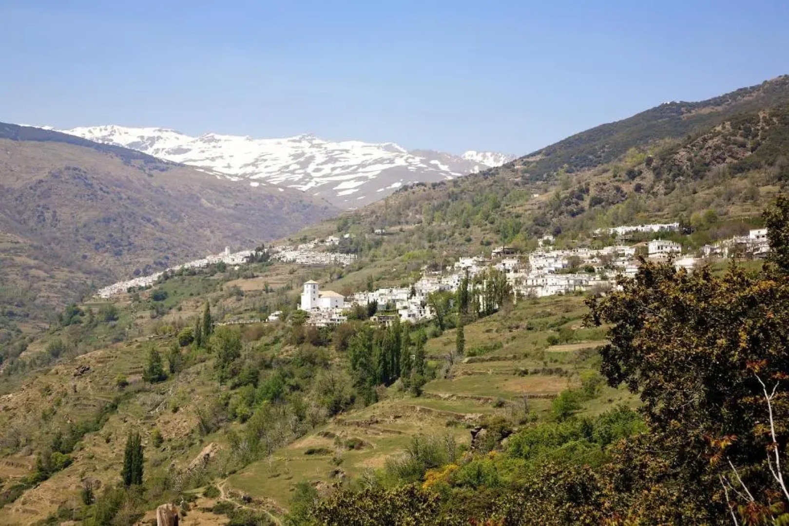 Casa Carole - 3 Bedroom Luxury Apartment