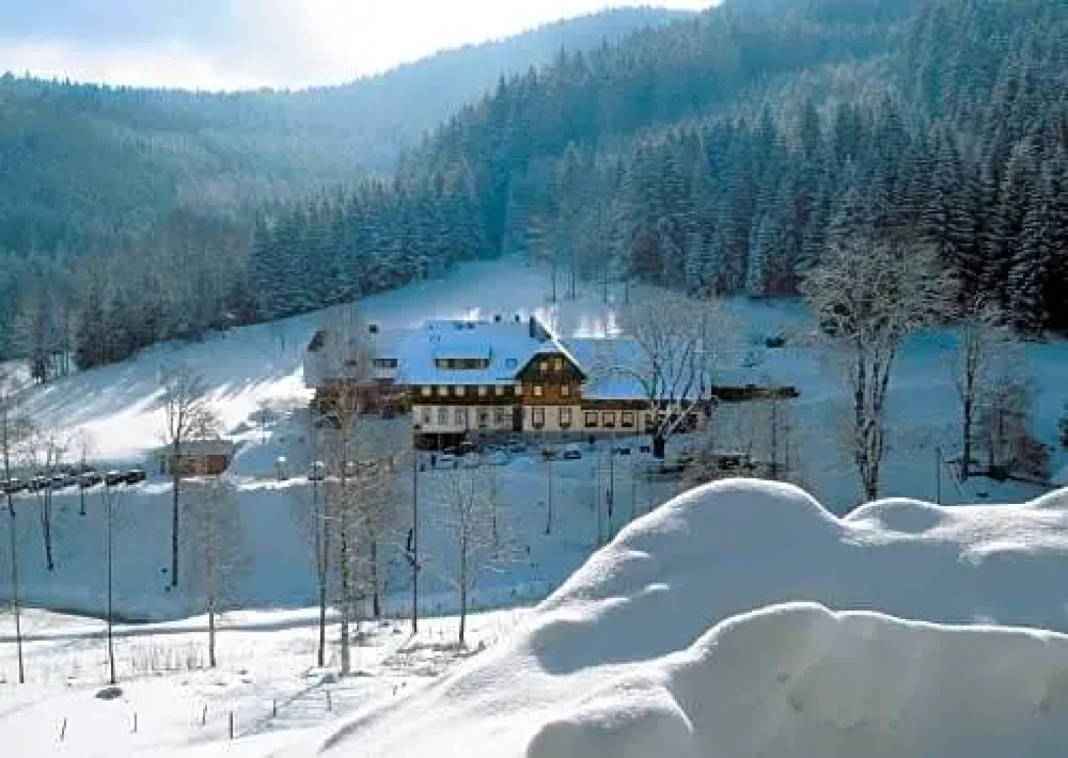 Fehrenbach Waldhotel