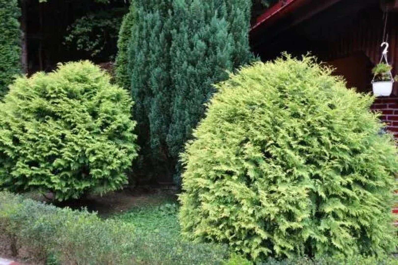 Pensiunea Baroc Sibiu