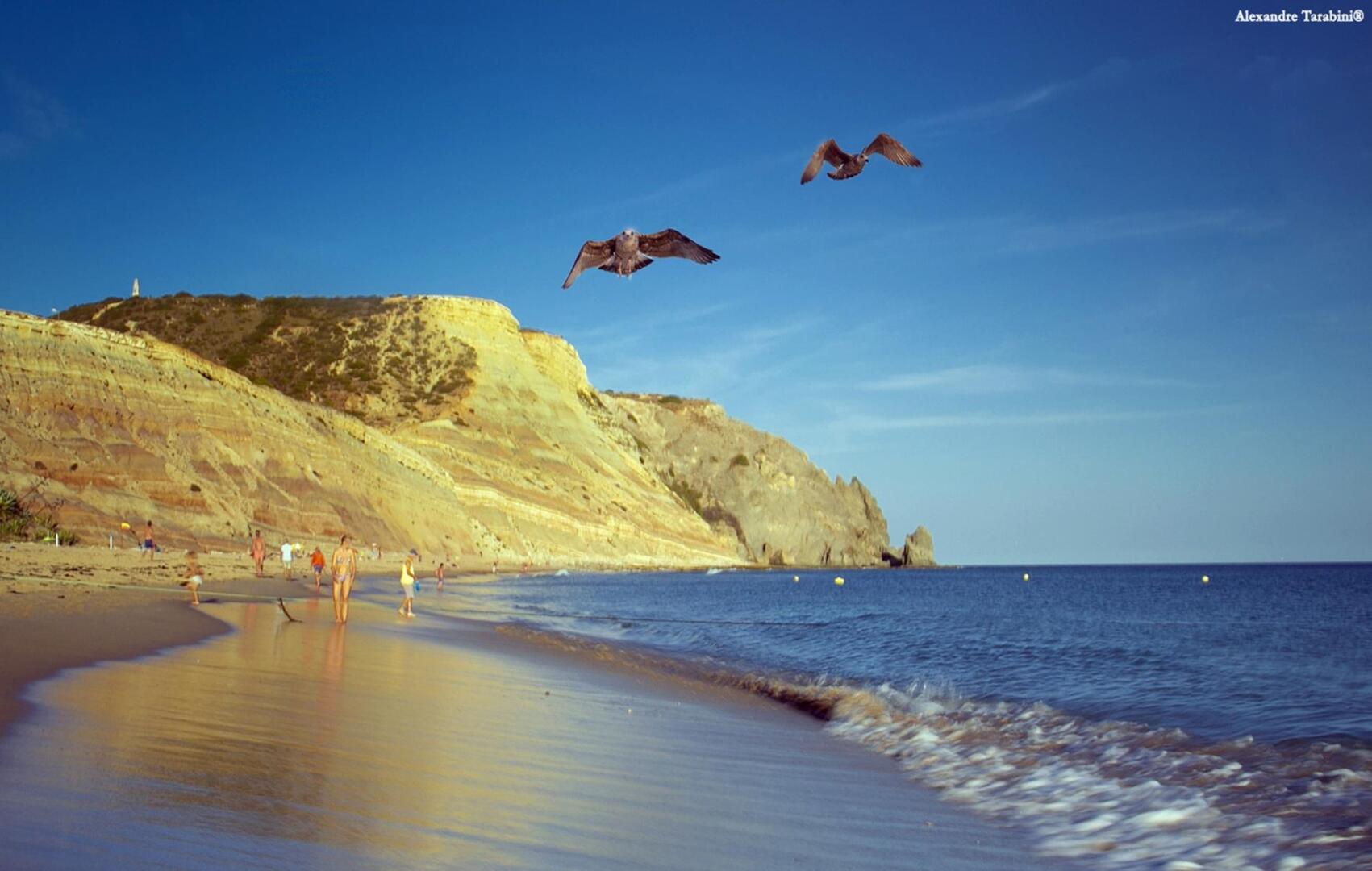 A12 - Praia da Luz Center Apartment