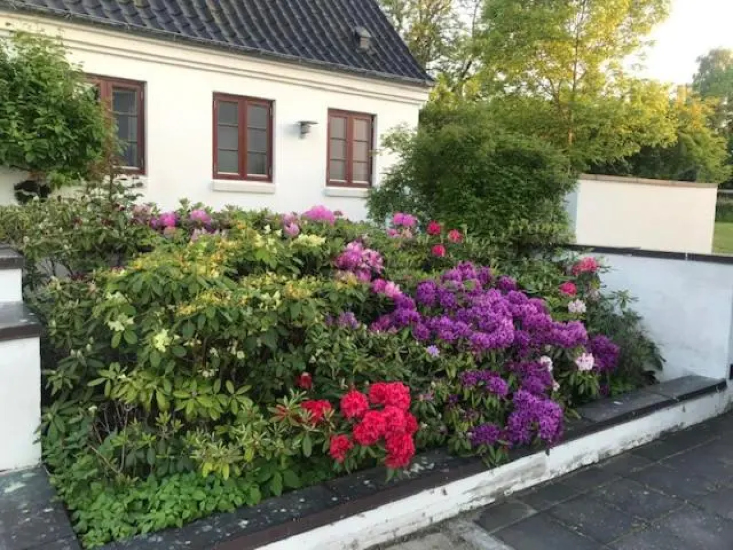 DreamCenter Ballerup Boulevard