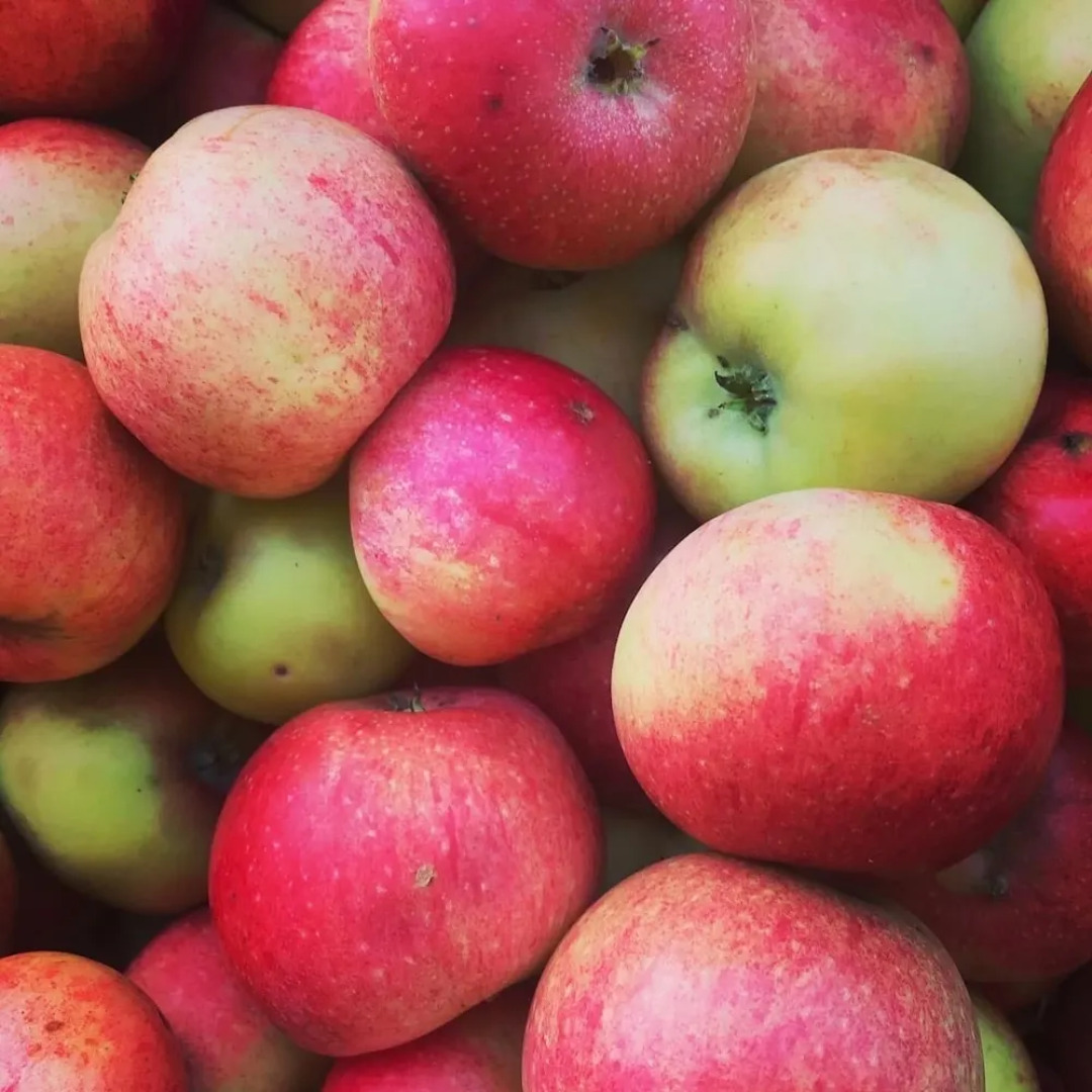 Pensionat Kanalvillan