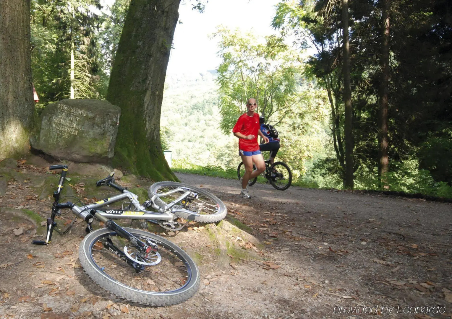 Die Hirschgasse Heidelberg