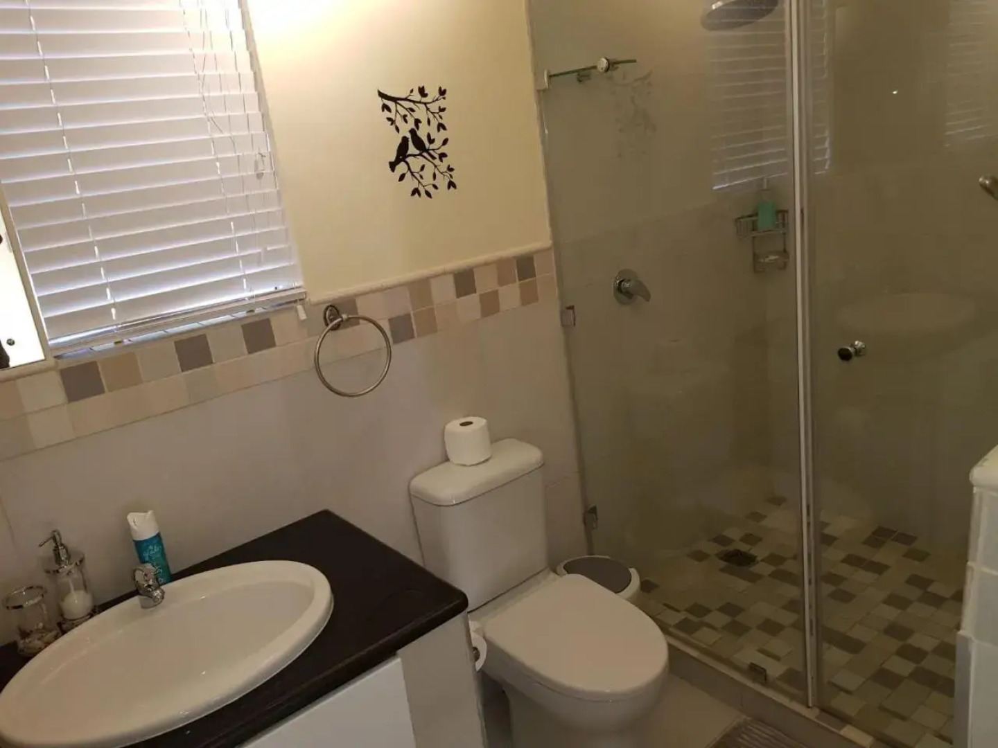 HERMANUS , SANDBAAI holiday house