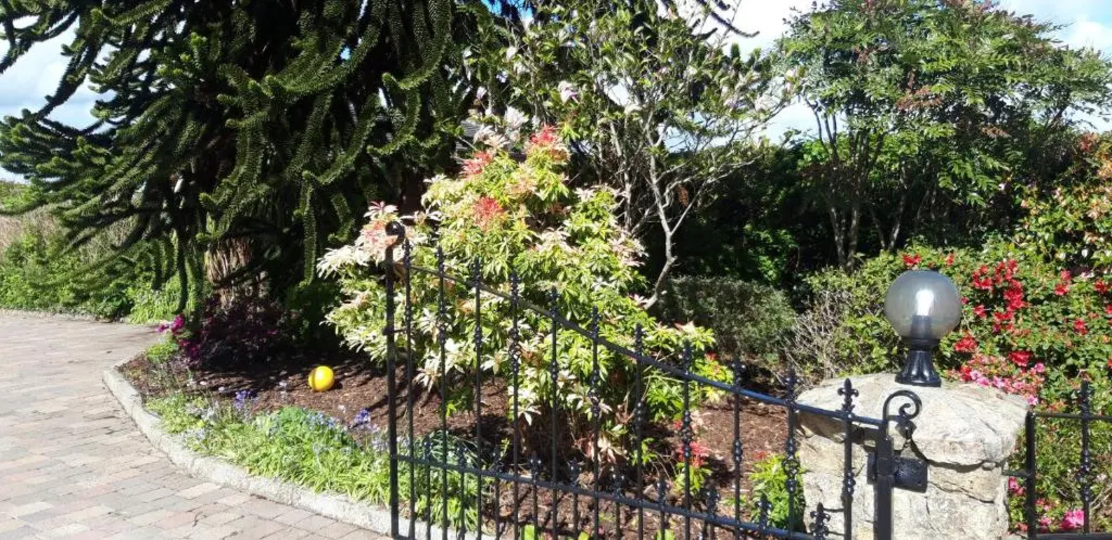 Shalom - In The Heart Of The Lakes