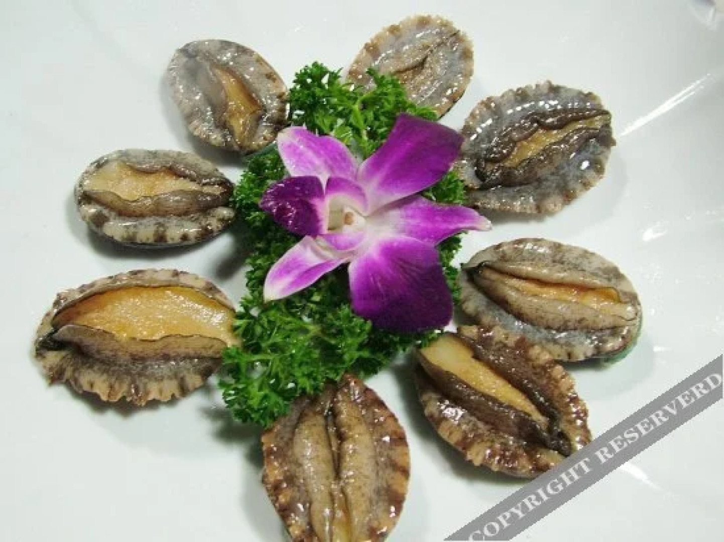 Penglai March antique fishing Inn