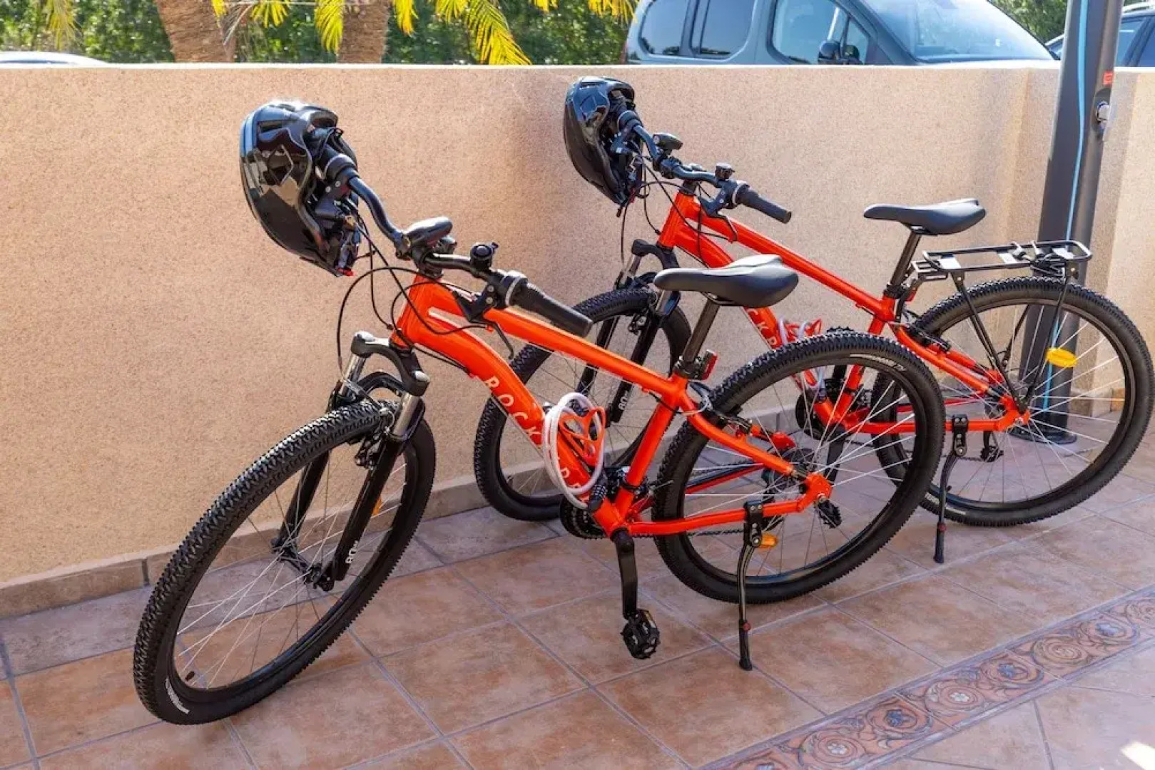 Coral Seashell Ground Floor by Fidalsa