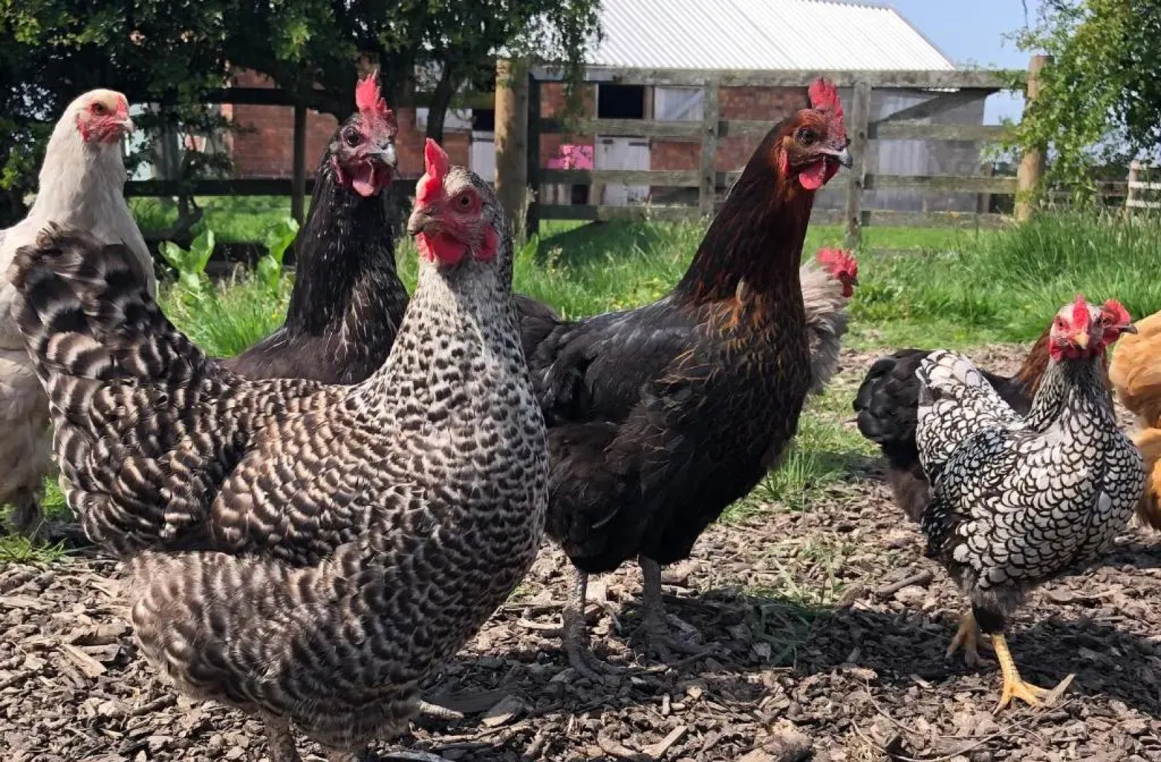 White House Farm - Beautiful Self Contained Courtyard Rooms