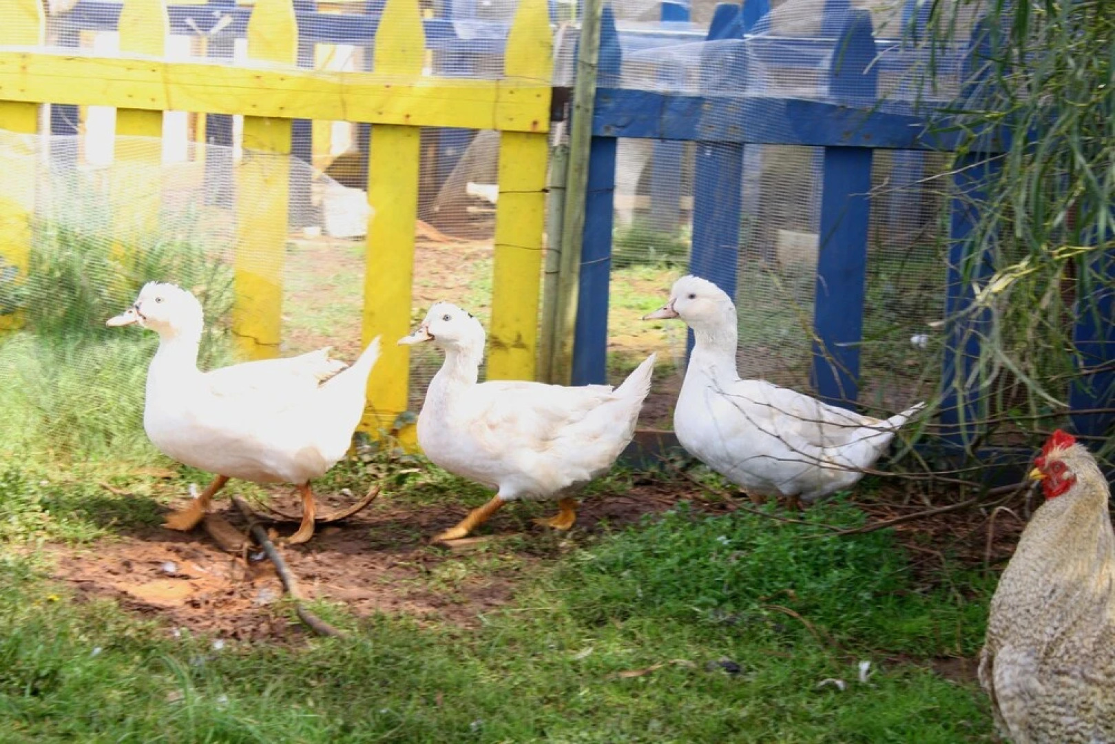 Agriturismo Casale Contenti