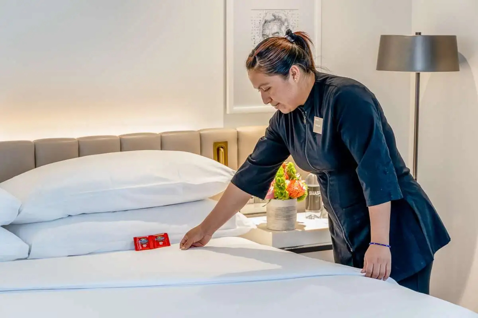 Shashi Hotel Mountain View Palo Alto