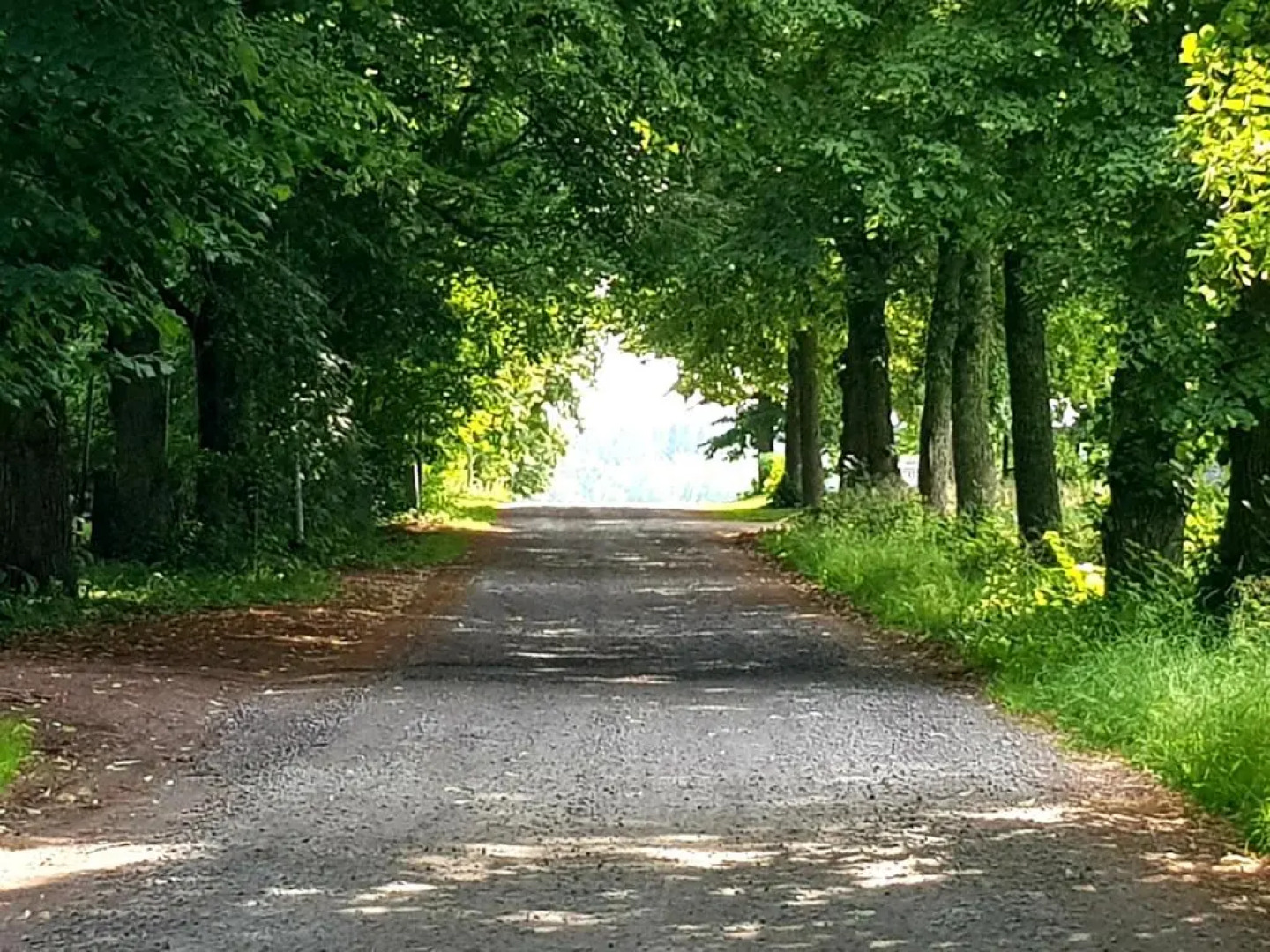 Mäntylinnan Huoneistomajoitus