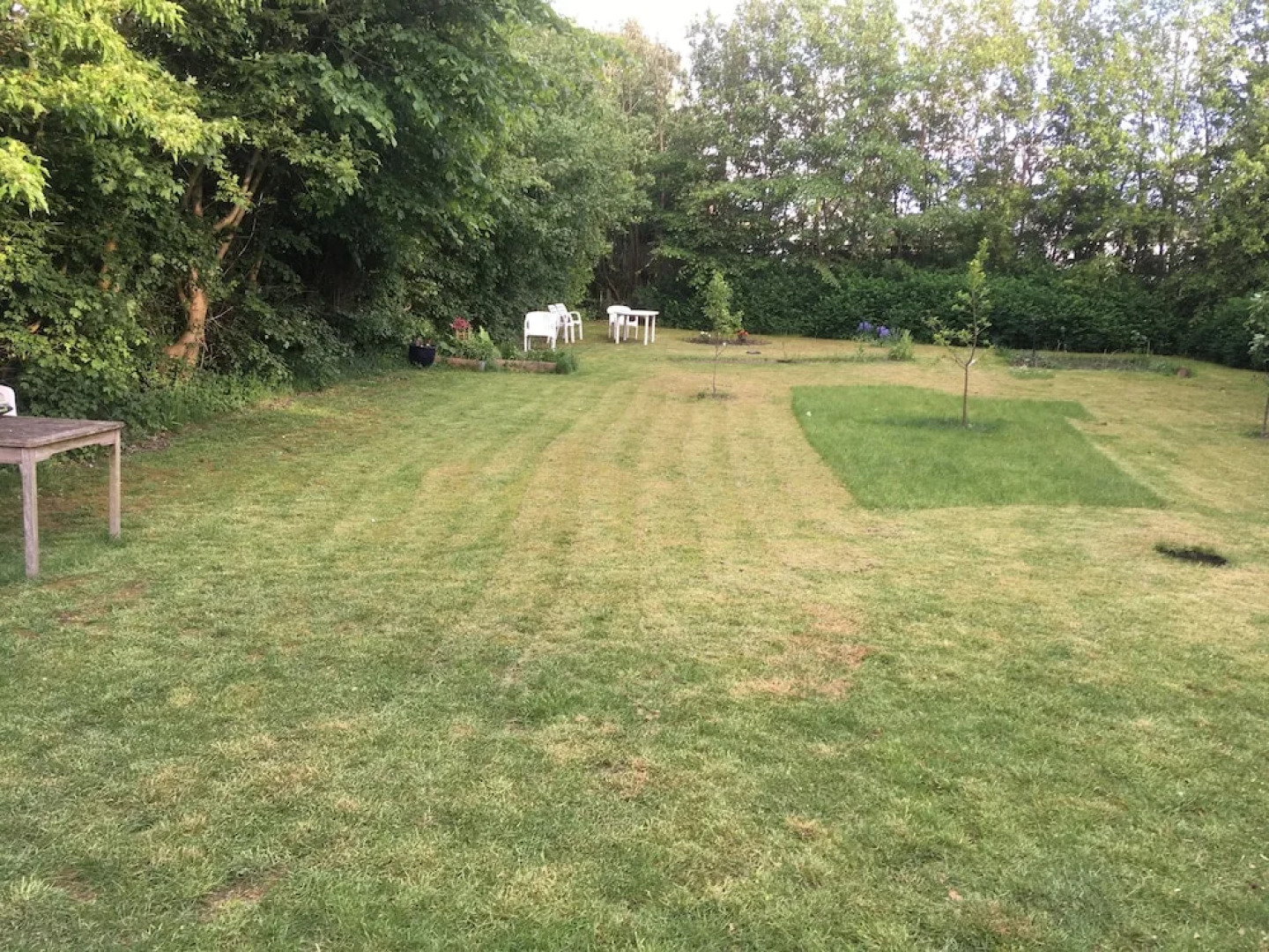 Give Family Apartment