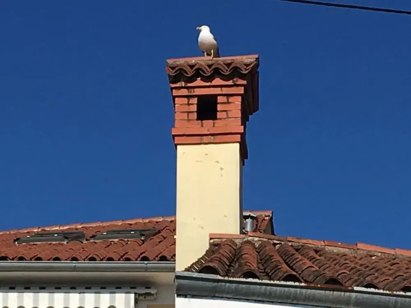 Apartment Lighthouse &free Parking in Izola-isola