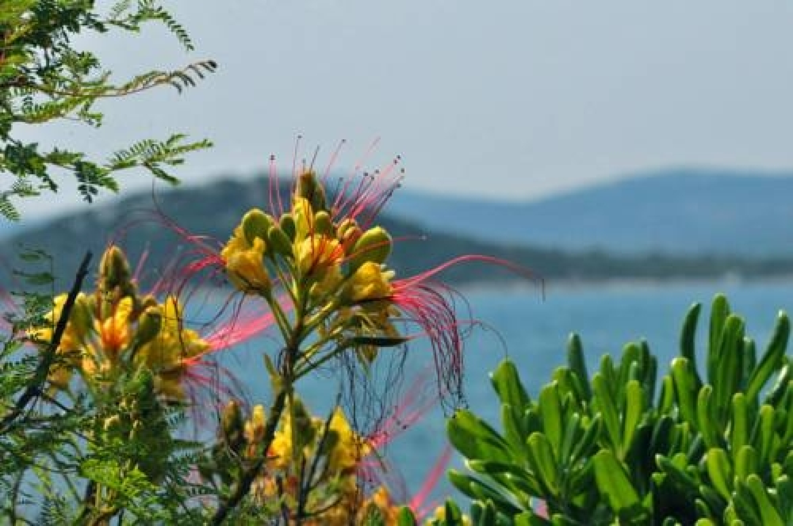Apartments Esperanca