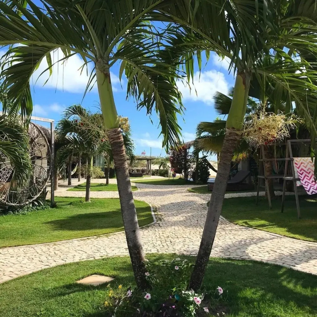 Room-spacious Suit Tarifa