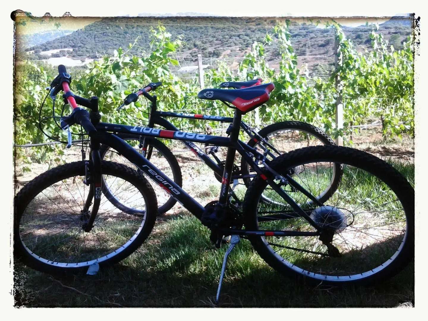 Agriturismo B&B Domo De Resteblas