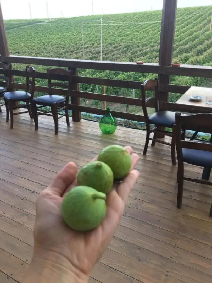 Agriturismo Tenuta Lagala