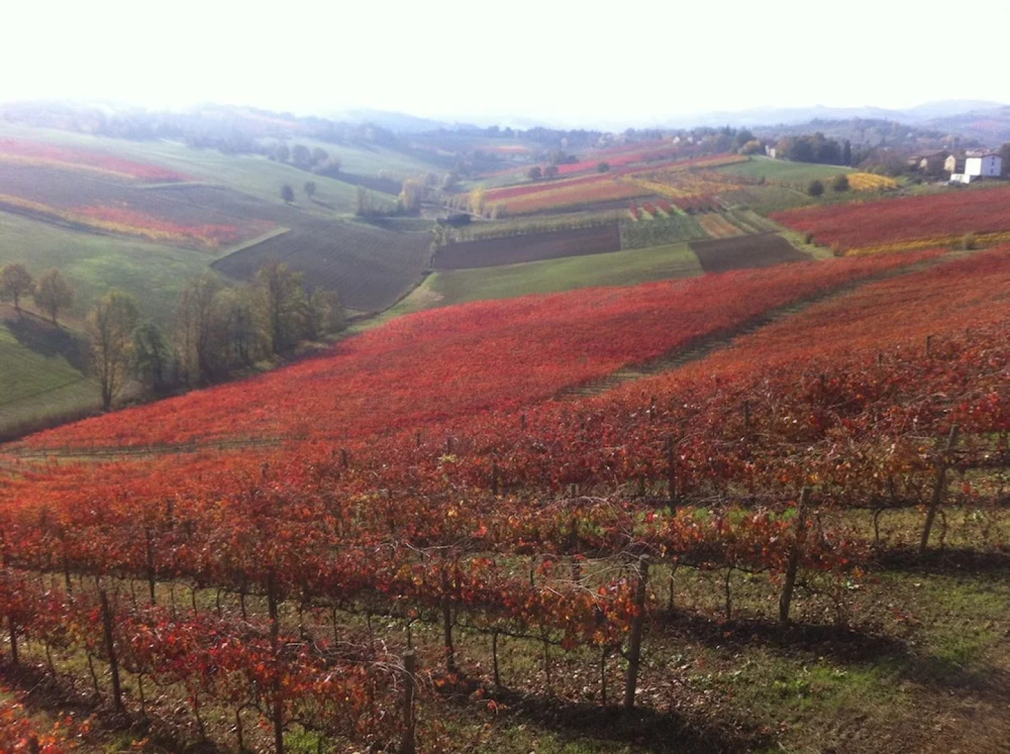 Agriturismo Opera 02