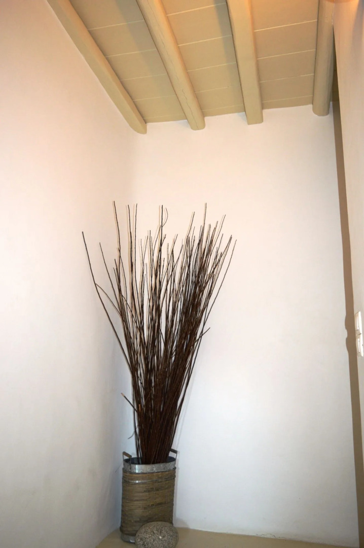 Sea Side Studios & Houses