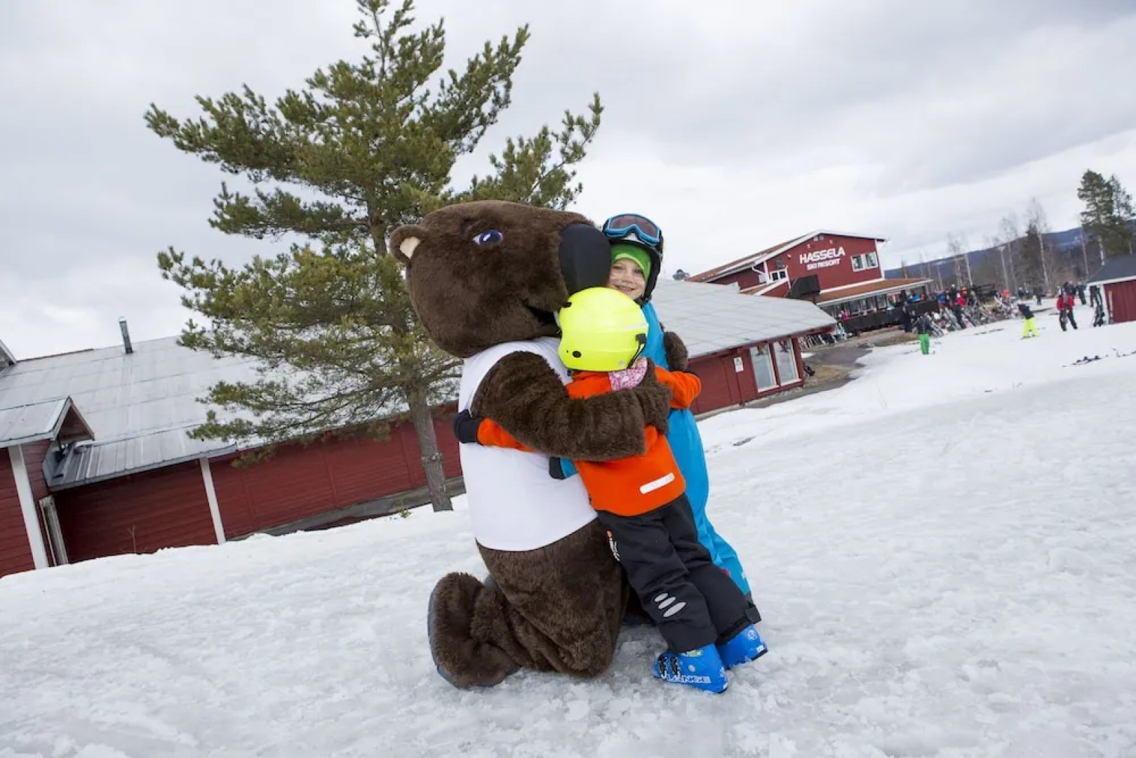 Hassela Ski Resort Cabins