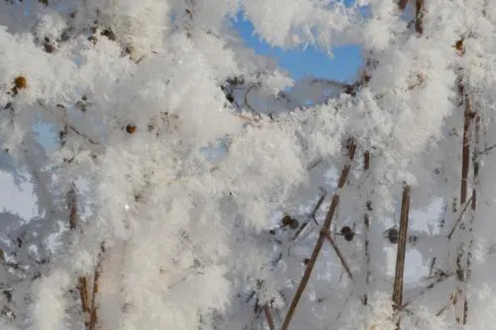 Gites de la Costerie