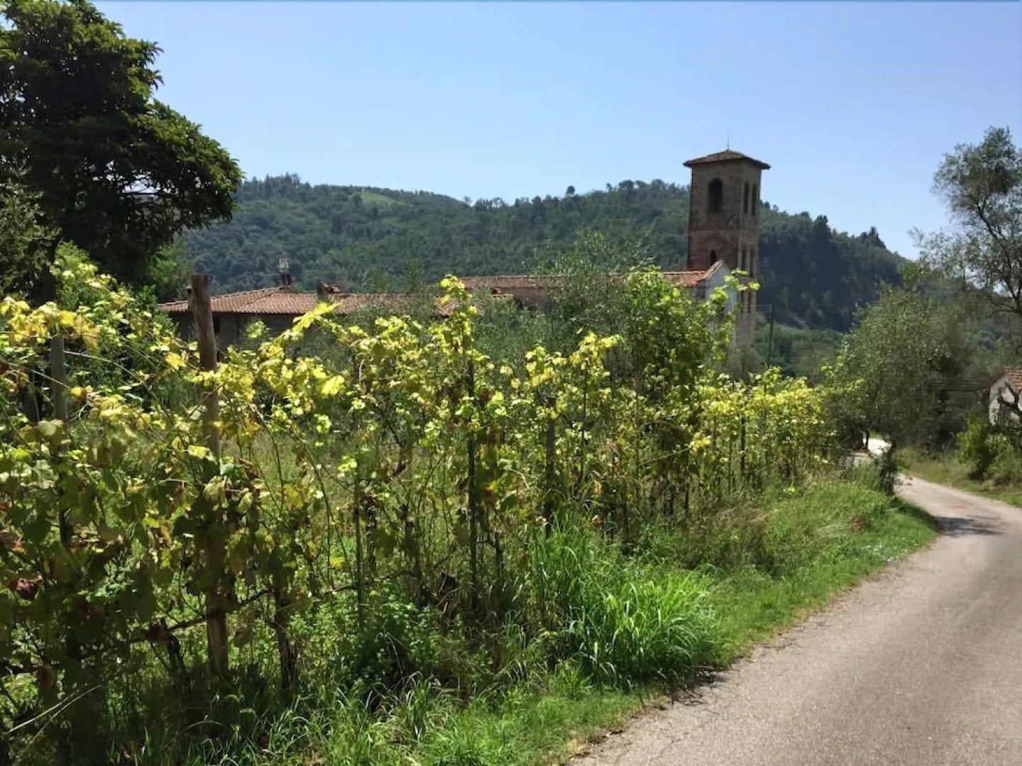 Sosta Del Pellegrino