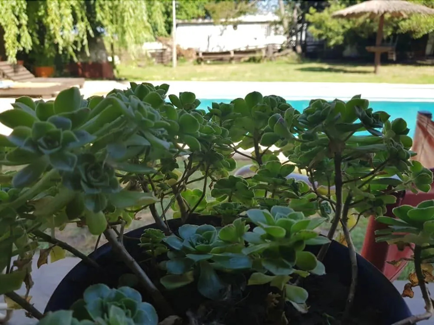 LAS MORAS multiespacio