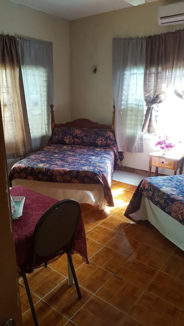 Palm Tree Guest House