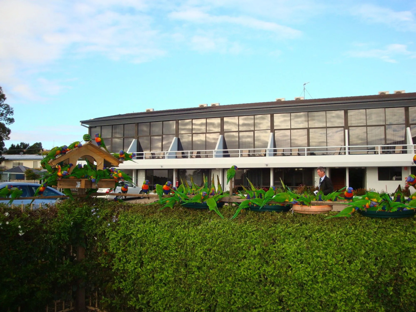 Best Western Sea Spray Motel