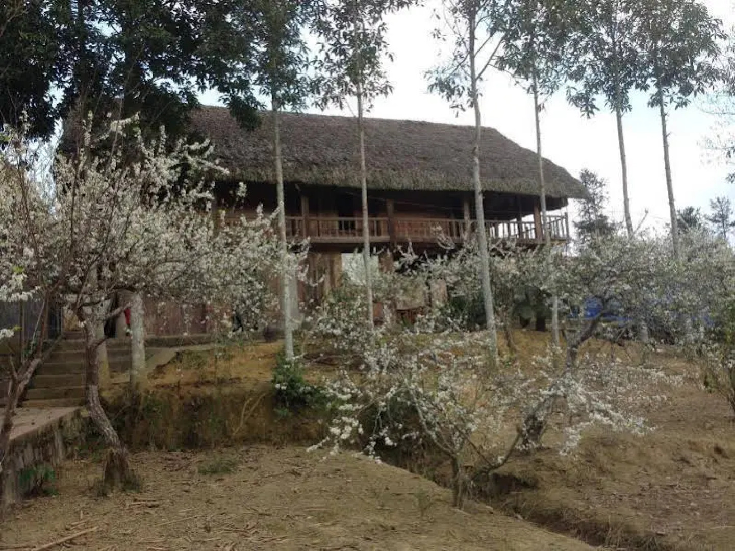 Sa House Bac Ha