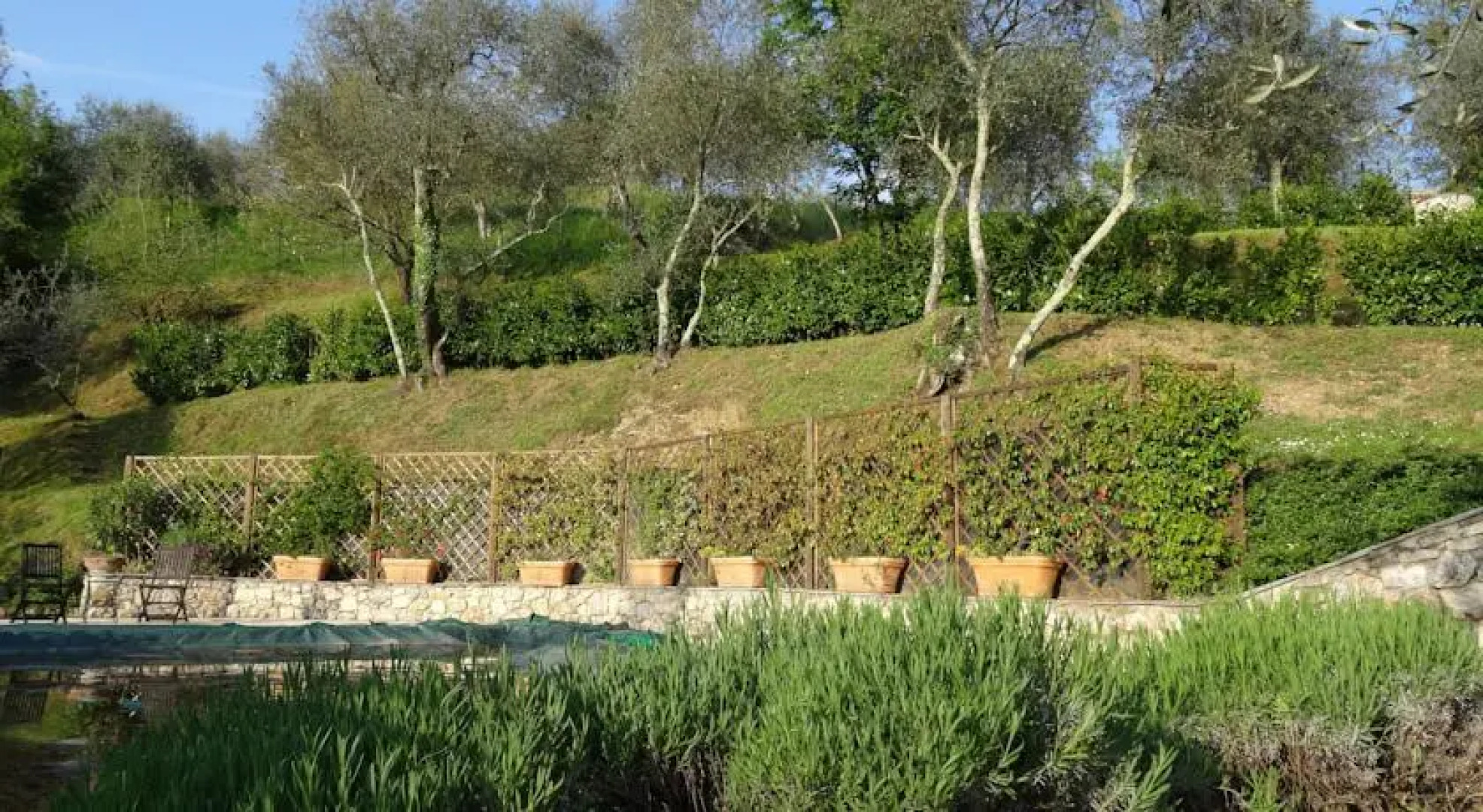 Villa Luna dellAntico Uliveto