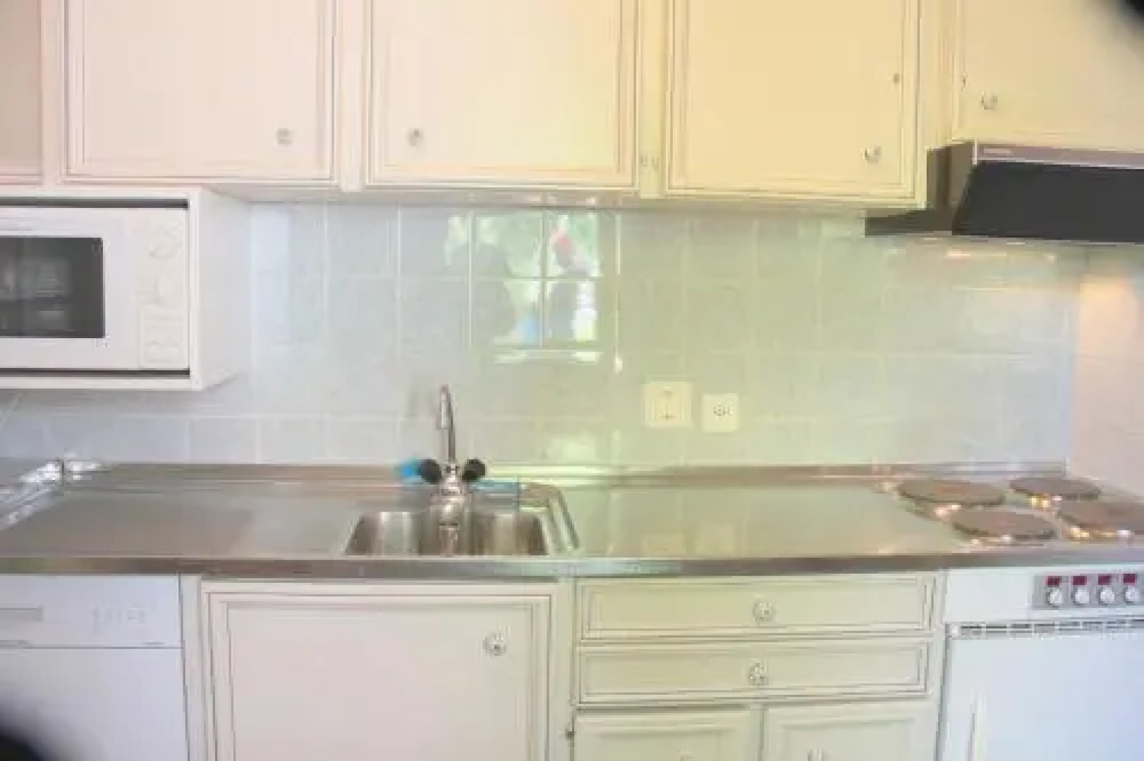 Garden Olive dog friendly