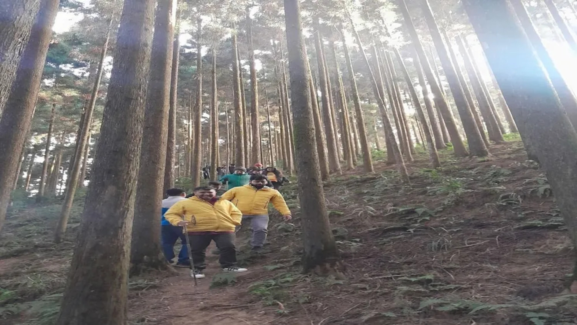 Amaira Resort & Farms - Mirik, West Bengal