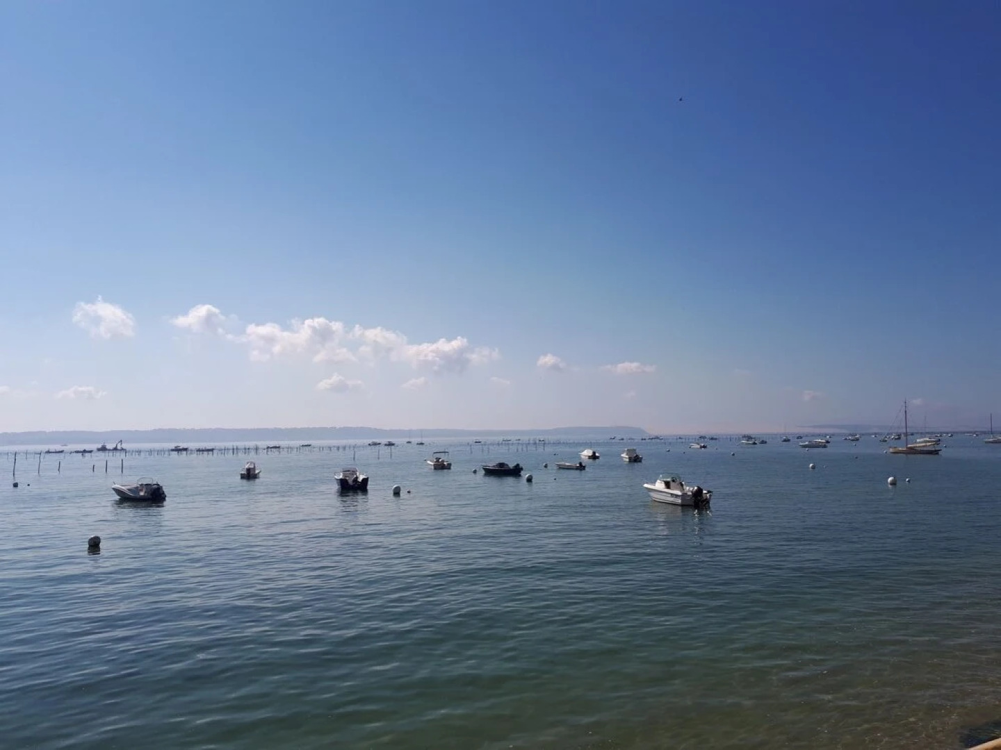 Les Ecogites Floréale