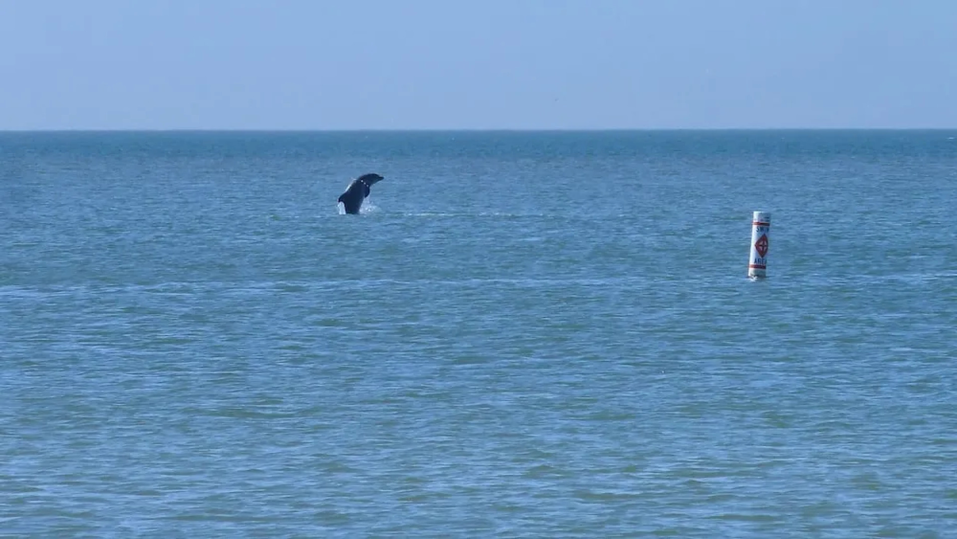 Bay Front Duplex 2br, Fishing Dock - Walk to Beach!