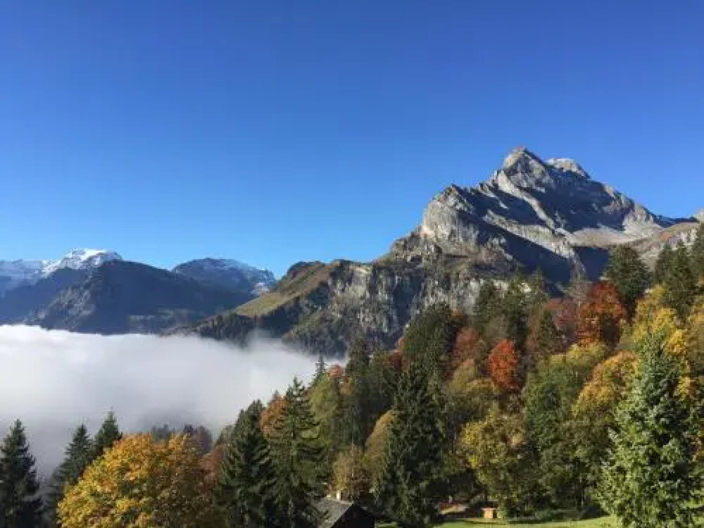 Alexander's Tödiblick