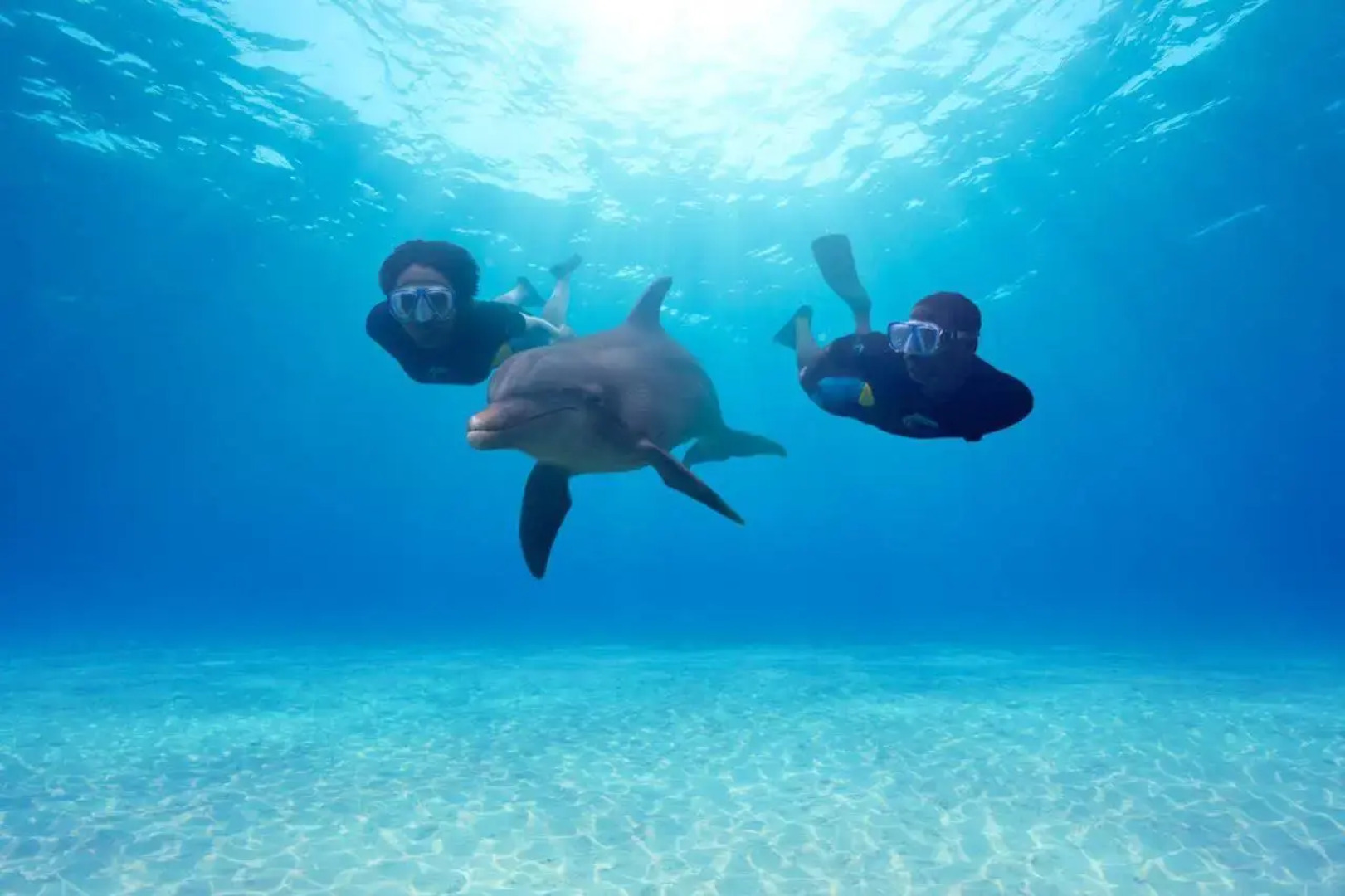 The Coral at Atlantis, Autograph Collection