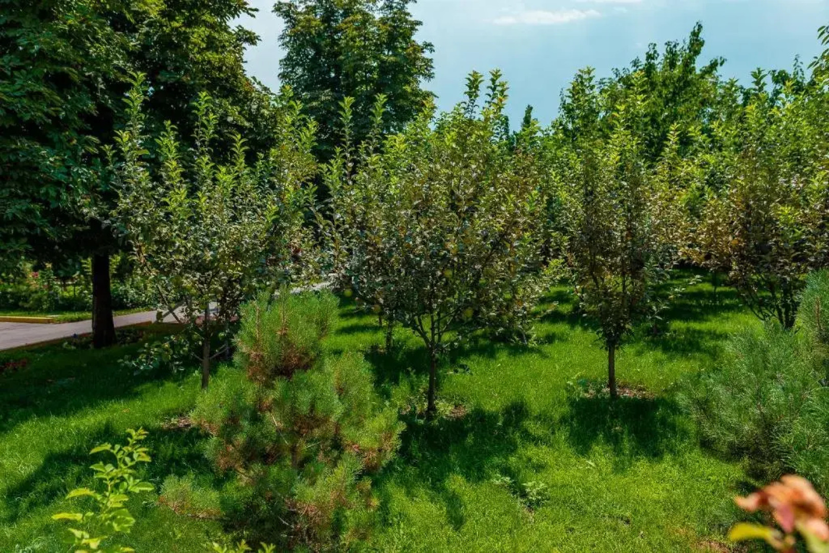 GOLDENDRAGON.VILLAHOTEL